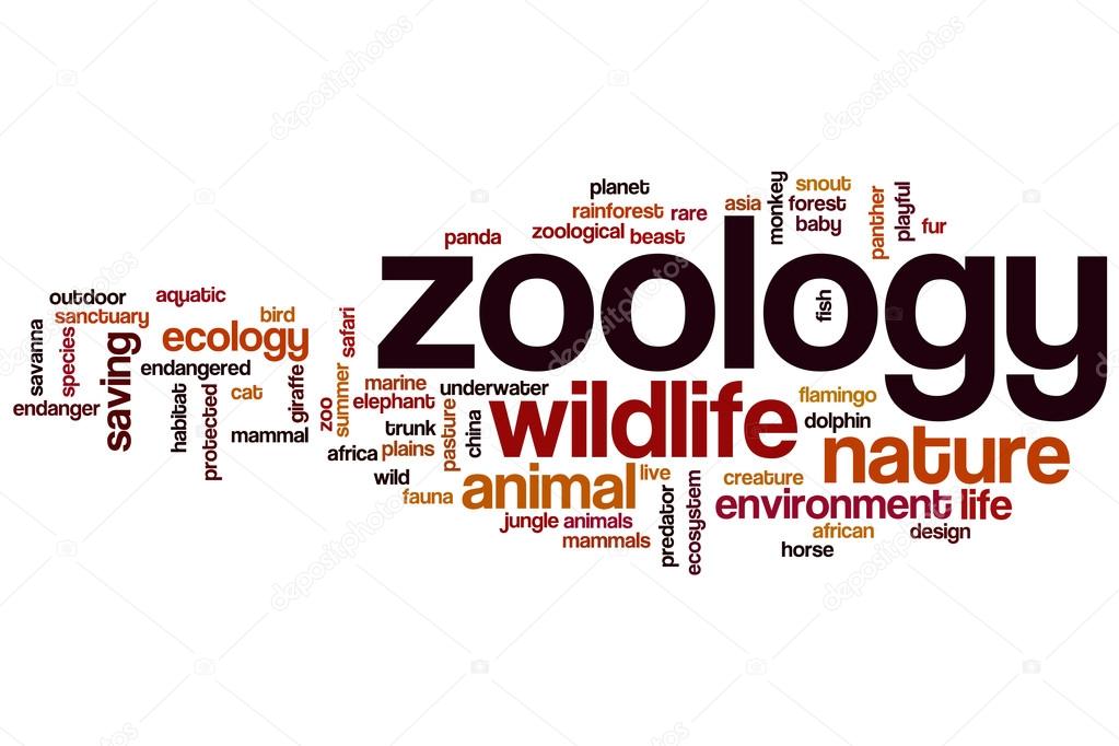 LECTURER_ZOOLOGY